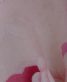 成人式振袖[ガーリー]白に裾ローズぼかし・橙ピンクのバラと桜、蝶[身長169cmまで]No.687